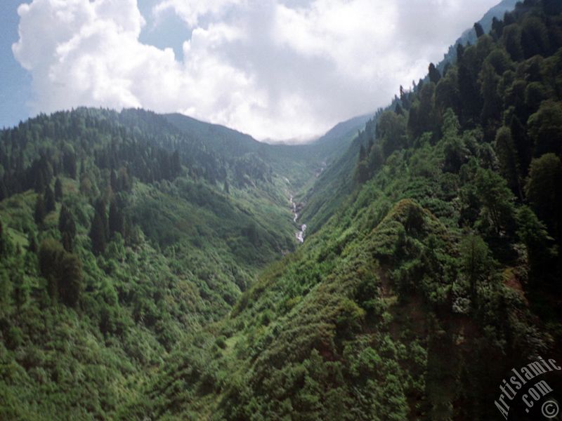 Rize Ayder Kapl�cas�`ndan bir manzara.

