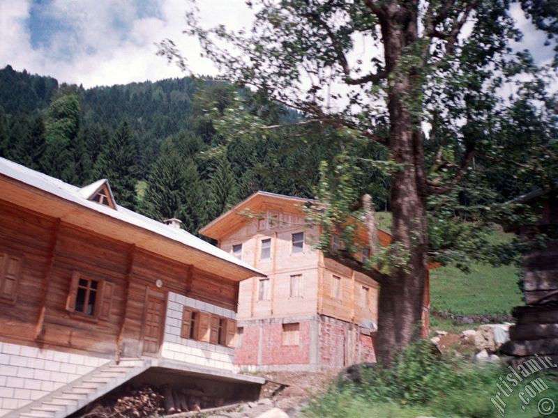 Rize Ayder Kapl�cas�`ndan bir manzara.
