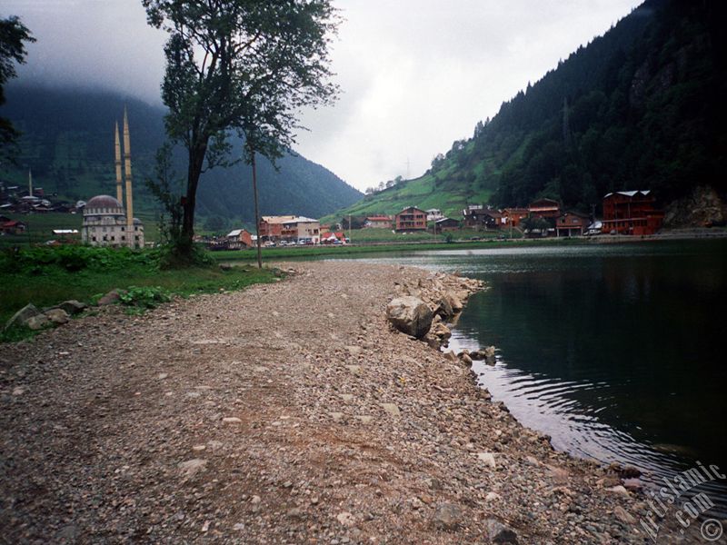 Trabzon Uzung�l Yaylas�`ndan bir manzara.

