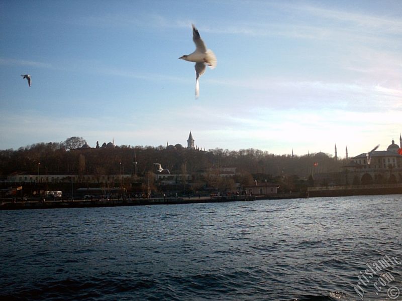Emin�n� sahilinde denizden Sarayburnu, Topkap� Saray�, Ayasofya Camisi ve mart�lar.
