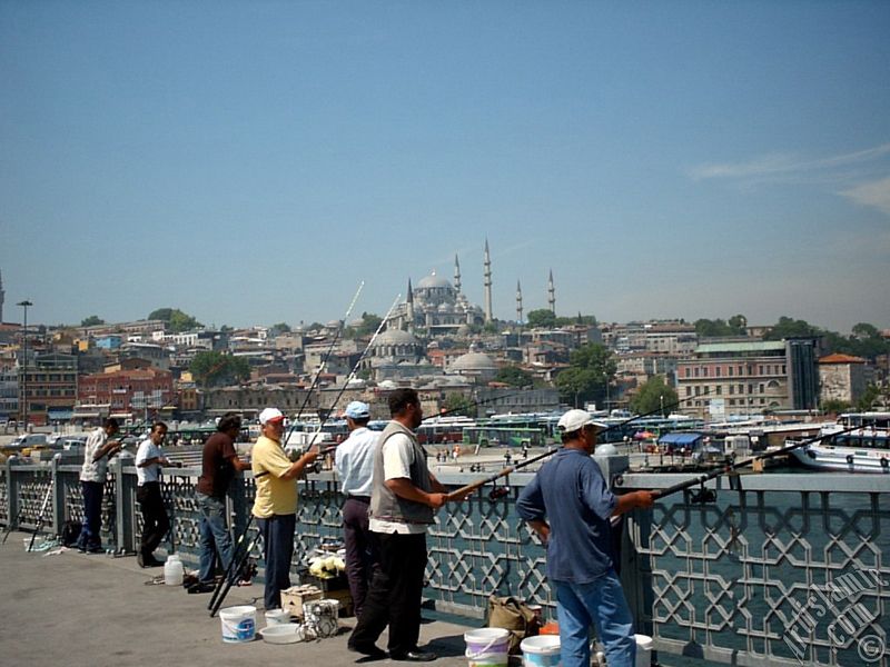 Yeni Galata K�pr�s�nde bal�k tutanlar, uzakta S�leymaniye Camisi ve alt k�sm�nda R�stem Pa�a Camisi.
