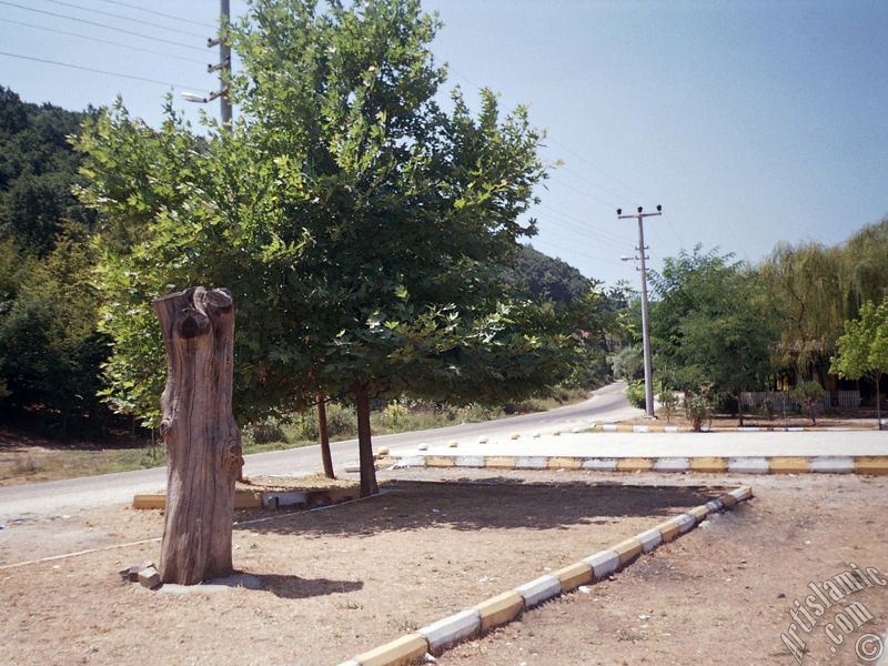 Yalova ilimizdeki Termal-G�k�edere K�y�`nden bir g�r�nt�.
