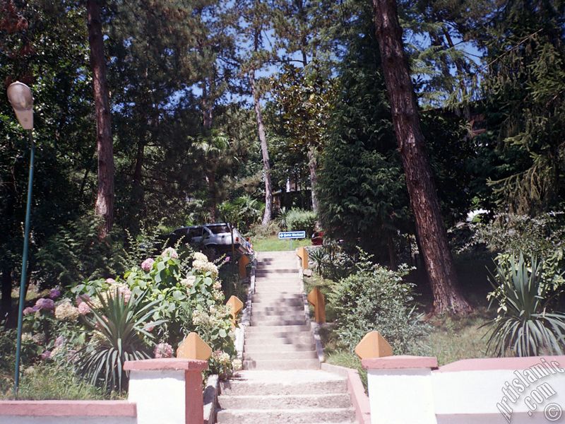 Yalova ilimizdeki Termal-G�k�edere K�y�`nden bir g�r�nt�.
