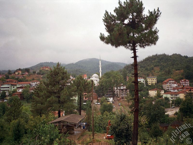 Yalova ilimizdeki Termal-G�k�edere K�y�`nden bir g�r�nt�.
