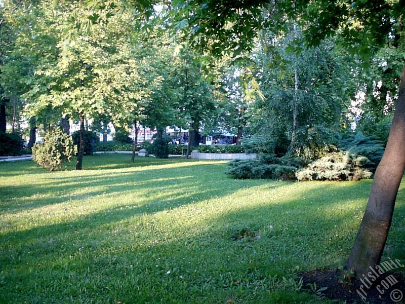 Yalova ilimizden bir g�r�nt�.
