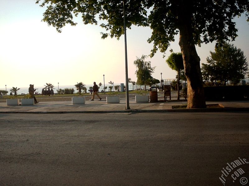 Yalova ilimizden bir g�r�nt�.
