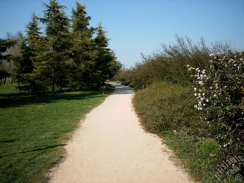 Bursa Botanik Park�ndan bir manzara.
