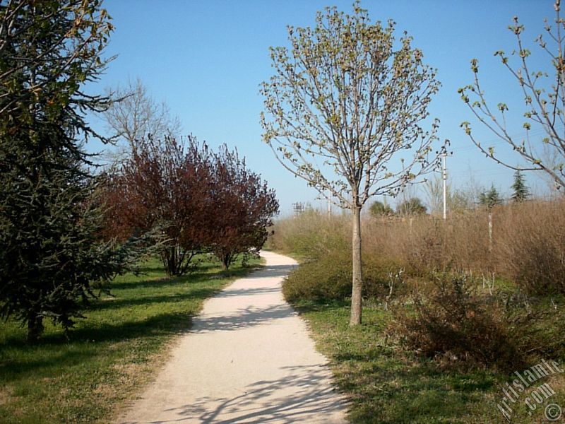 Bursa Botanik Park�ndan bir manzara.
