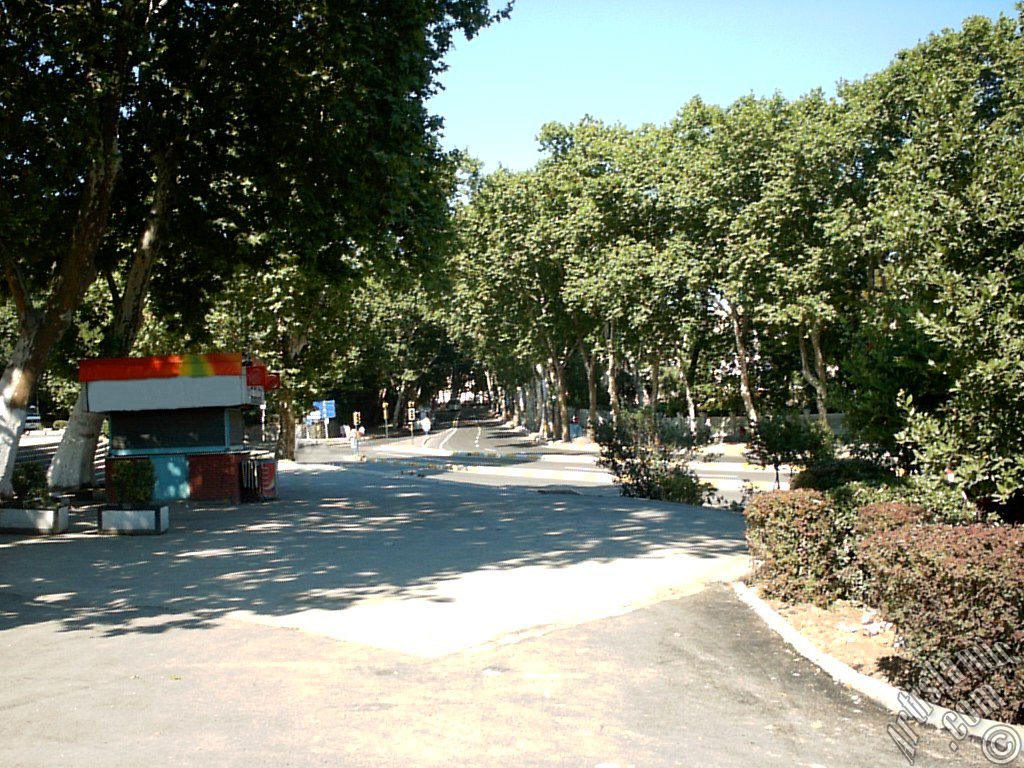 �stanbul Dolmabah�e Stad� �n�nden Be�ikta� y�n�ne bak��.
