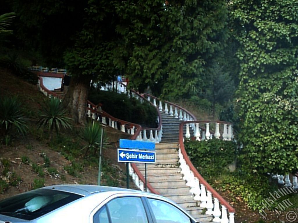 Yalova ilimizdeki Termal-G�k�edere K�y�`nden bir g�r�nt�.
