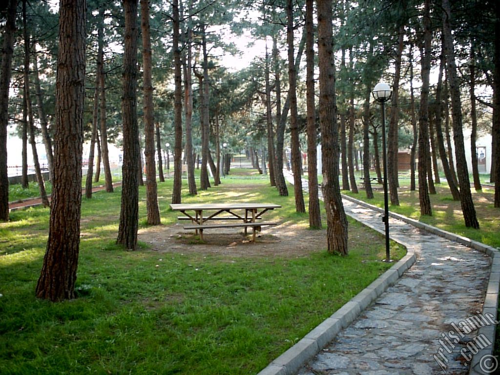 Bursa Fethiye K�y� semtinde bir parktan g�r�nt�.
