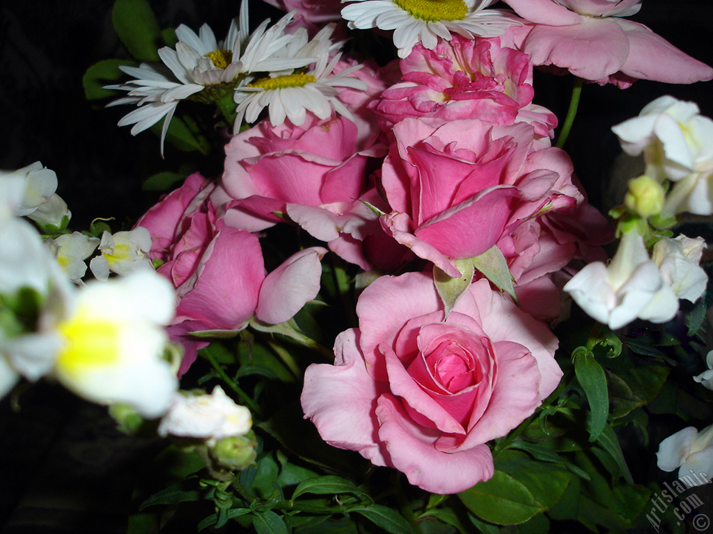 G�l, papatya ve aslana�z� �i�eklerinden olu�an bir �i�ek demeti resmi.
