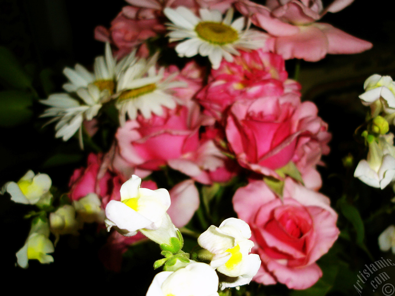 G�l, papatya ve aslana�z� �i�eklerinden olu�an bir �i�ek demeti resmi.
